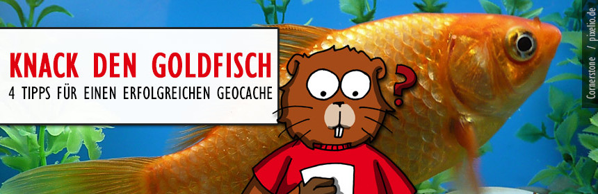 goldfisch